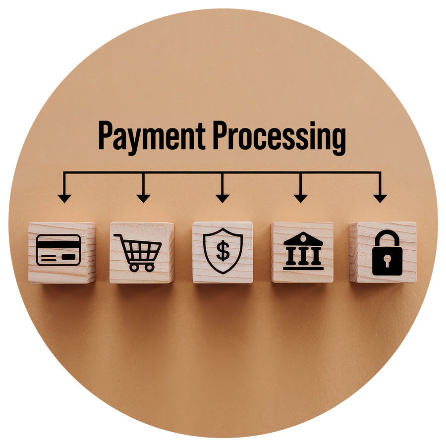 Payment processing infographic