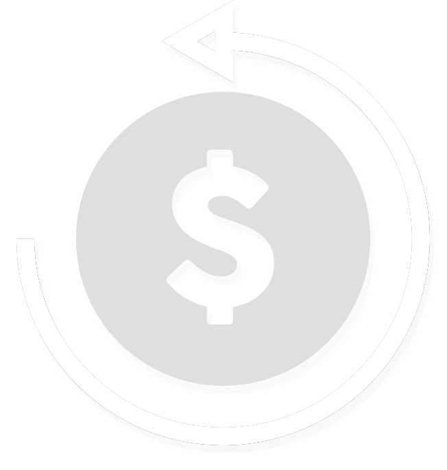 chargeback icon 2tone Chargeback Icon