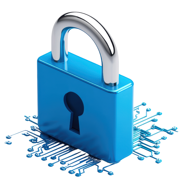 marketplace-setting Lock Icon